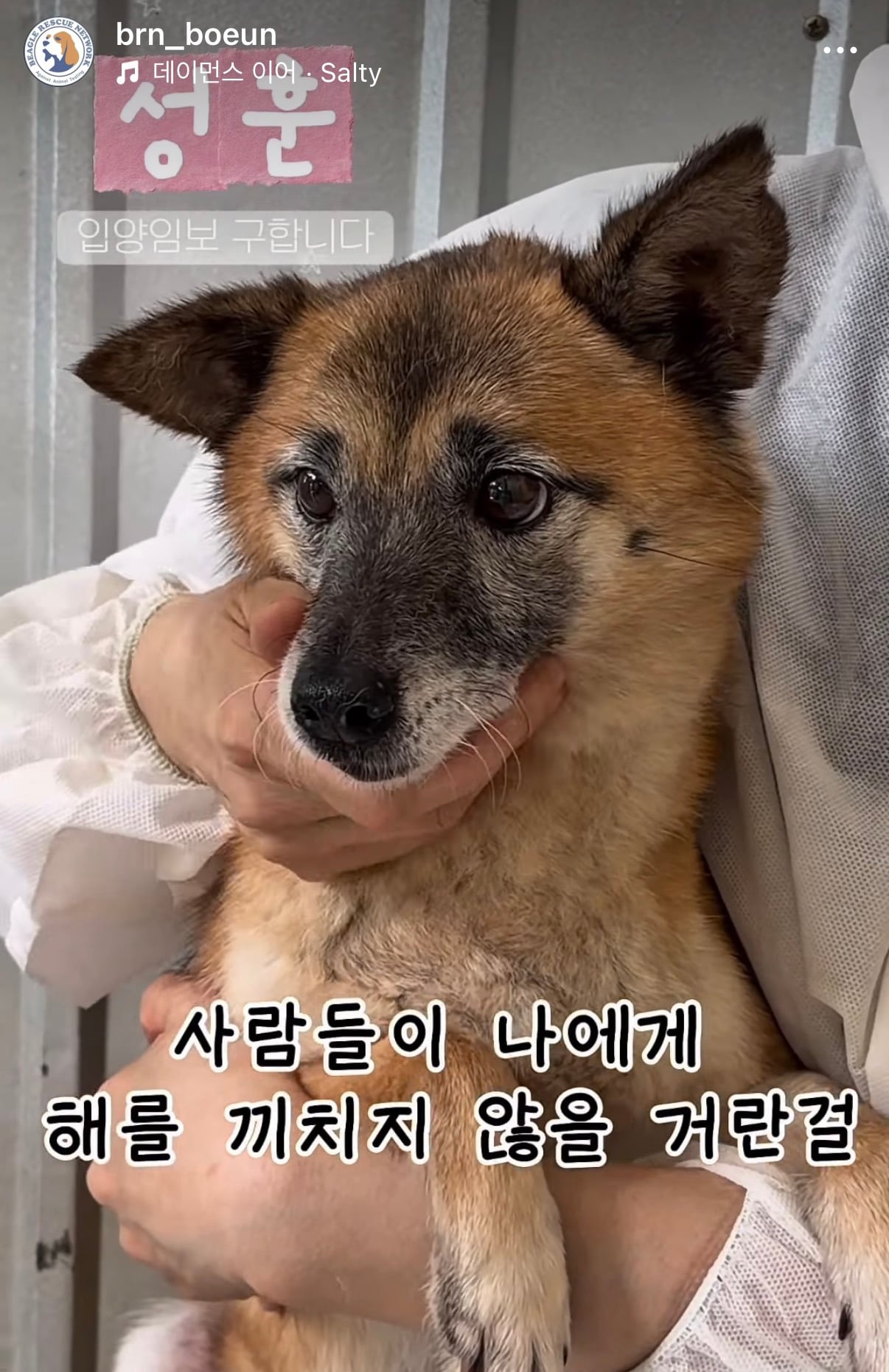 7년의 기다림 +🐶단기임보 | 인스티즈