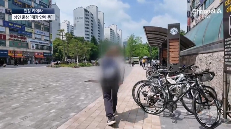 [뉴스] '유해동물 지정' 비둘기에게 밥 주는 비둘기맘 쫓아가봤습니다 ㅋㅋㅋ | 인스티즈