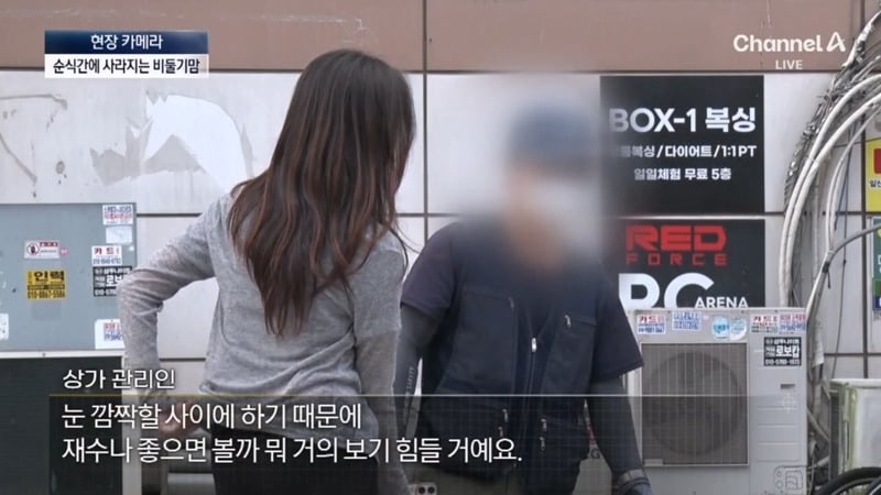 [뉴스] '유해동물 지정' 비둘기에게 밥 주는 비둘기맘 쫓아가봤습니다 ㅋㅋㅋ | 인스티즈