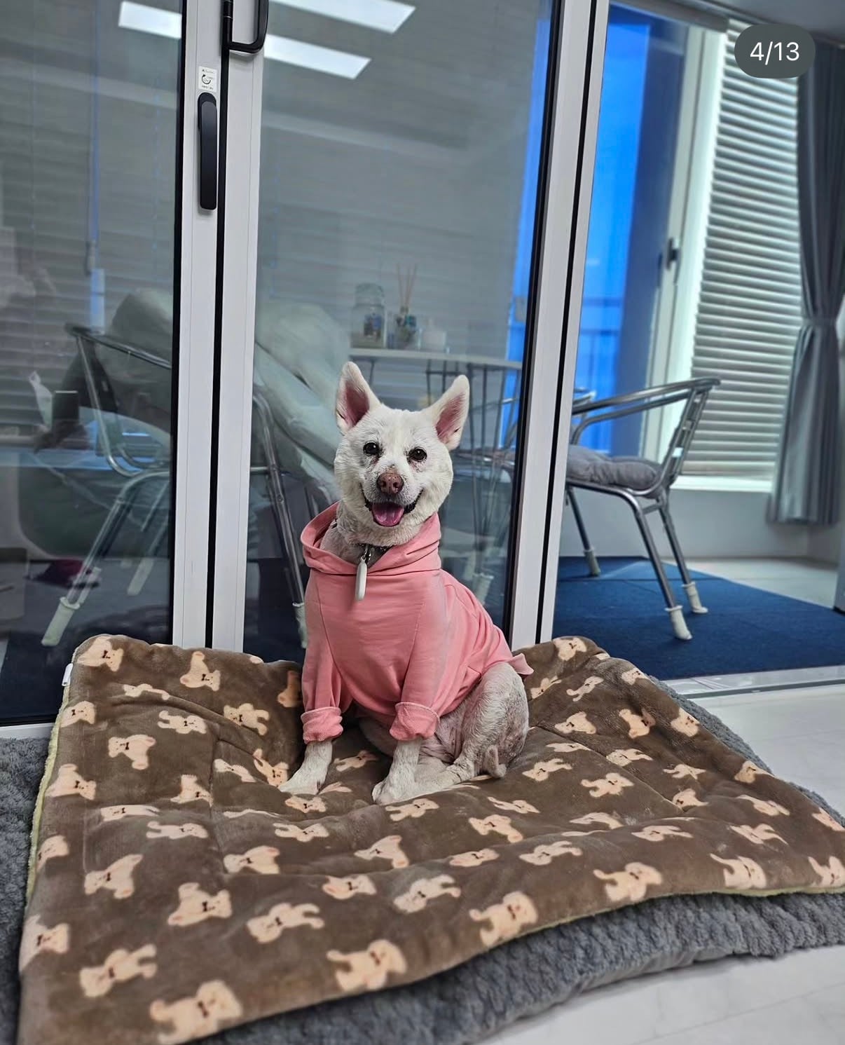 7년의 기다림 +🐶단기임보 | 인스티즈