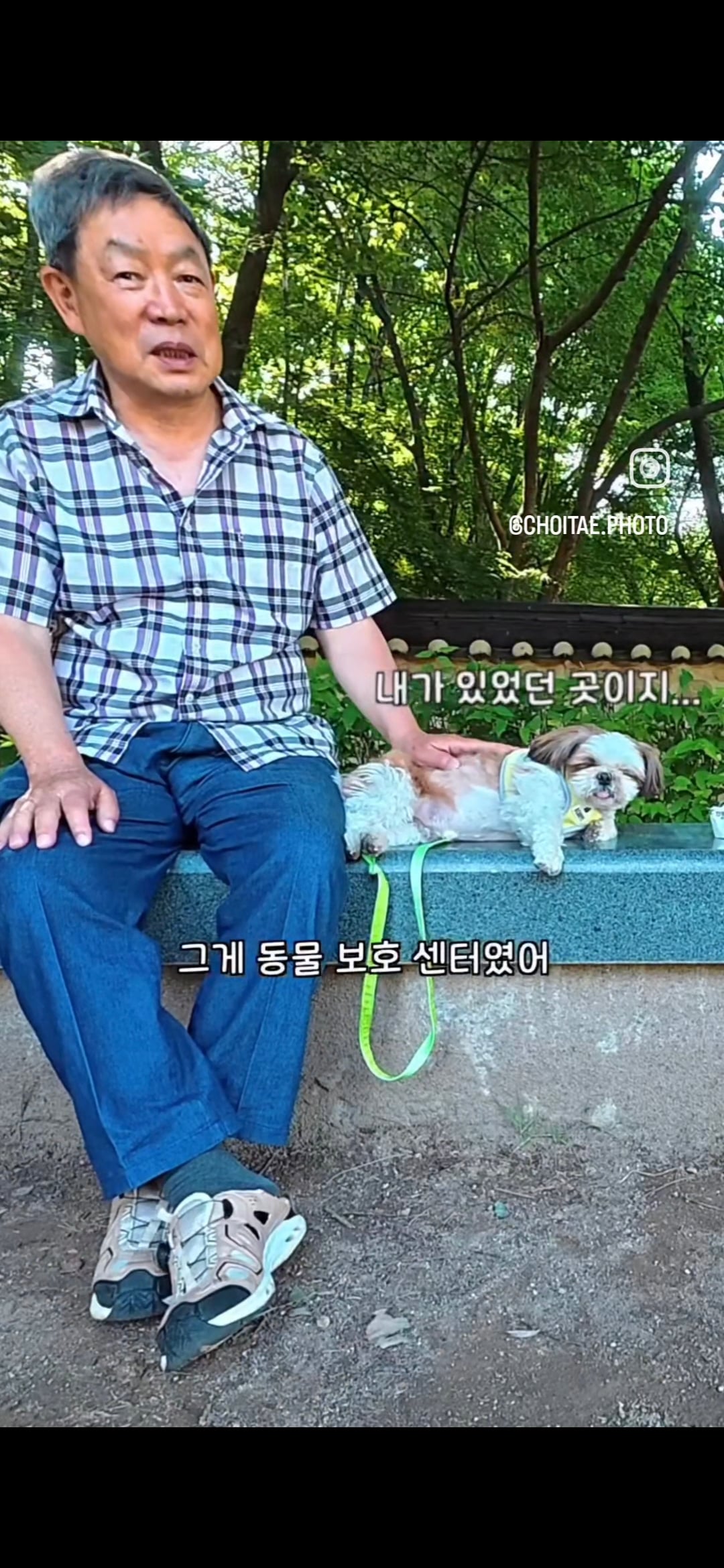 이름이... 이게... 인자...그... 유기견...! | 인스티즈