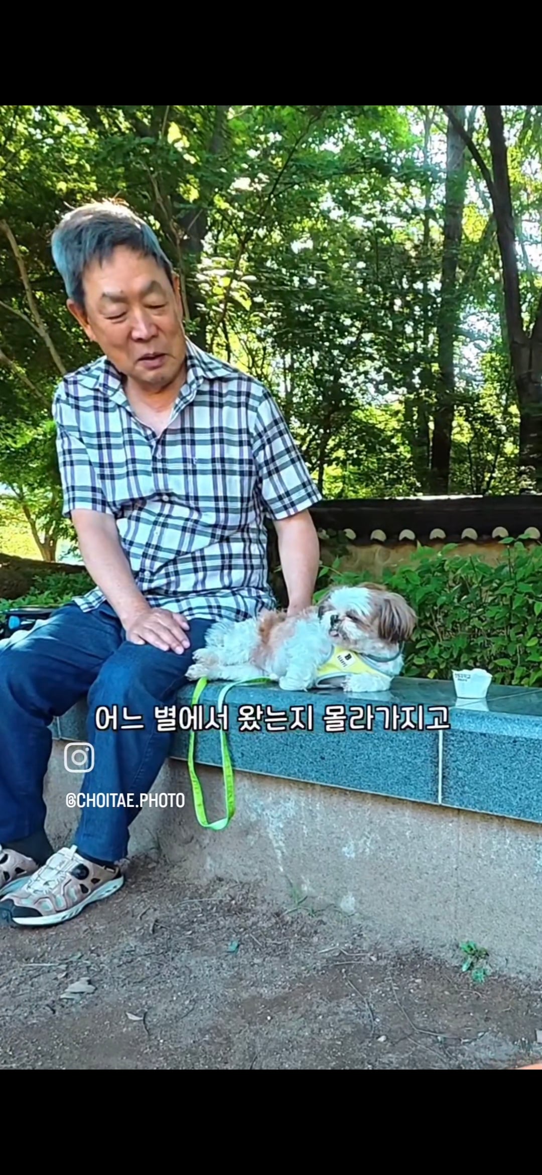 이름이... 이게... 인자...그... 유기견...! | 인스티즈