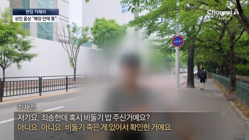 [뉴스] '유해동물 지정' 비둘기에게 밥 주는 비둘기맘 쫓아가봤습니다 ㅋㅋㅋ | 인스티즈