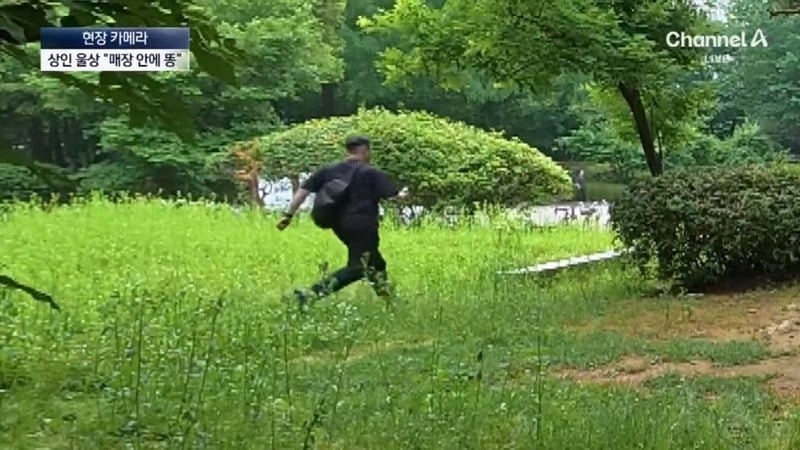 [뉴스] '유해동물 지정' 비둘기에게 밥 주는 비둘기맘 쫓아가봤습니다 ㅋㅋㅋ | 인스티즈