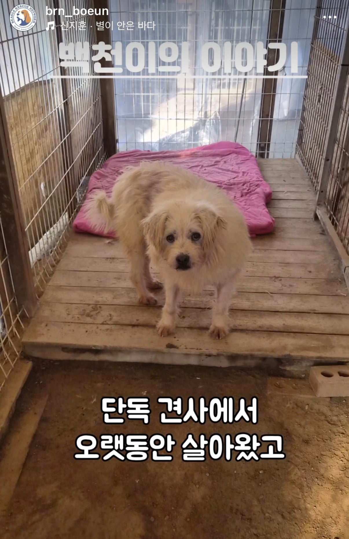 7년의 기다림 +🐶단기임보 | 인스티즈