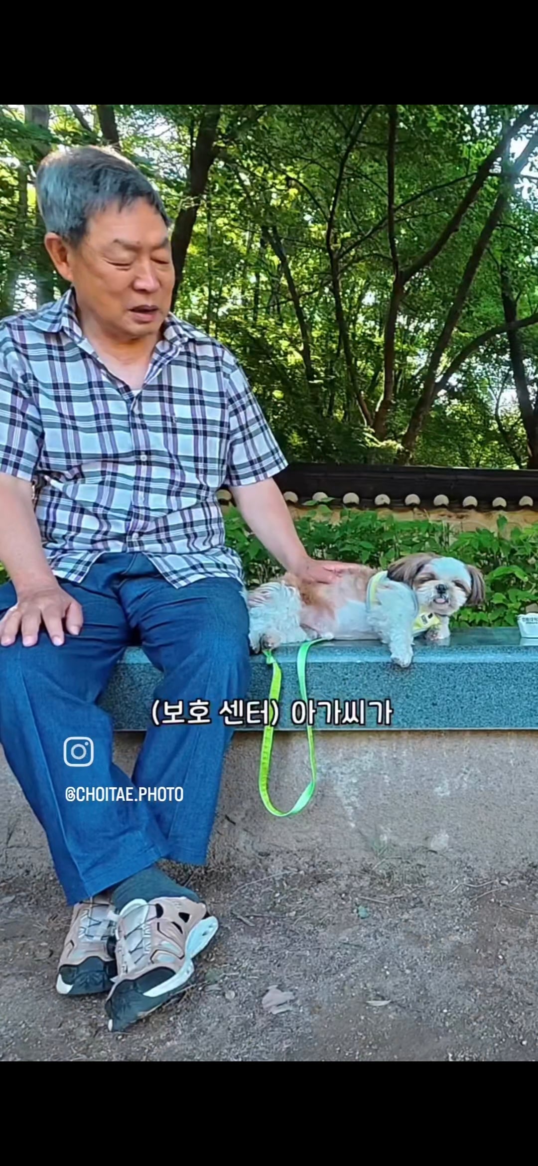 이름이... 이게... 인자...그... 유기견...! | 인스티즈