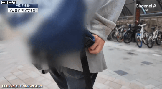 [뉴스] '유해동물 지정' 비둘기에게 밥 주는 비둘기맘 쫓아가봤습니다 ㅋㅋㅋ | 인스티즈