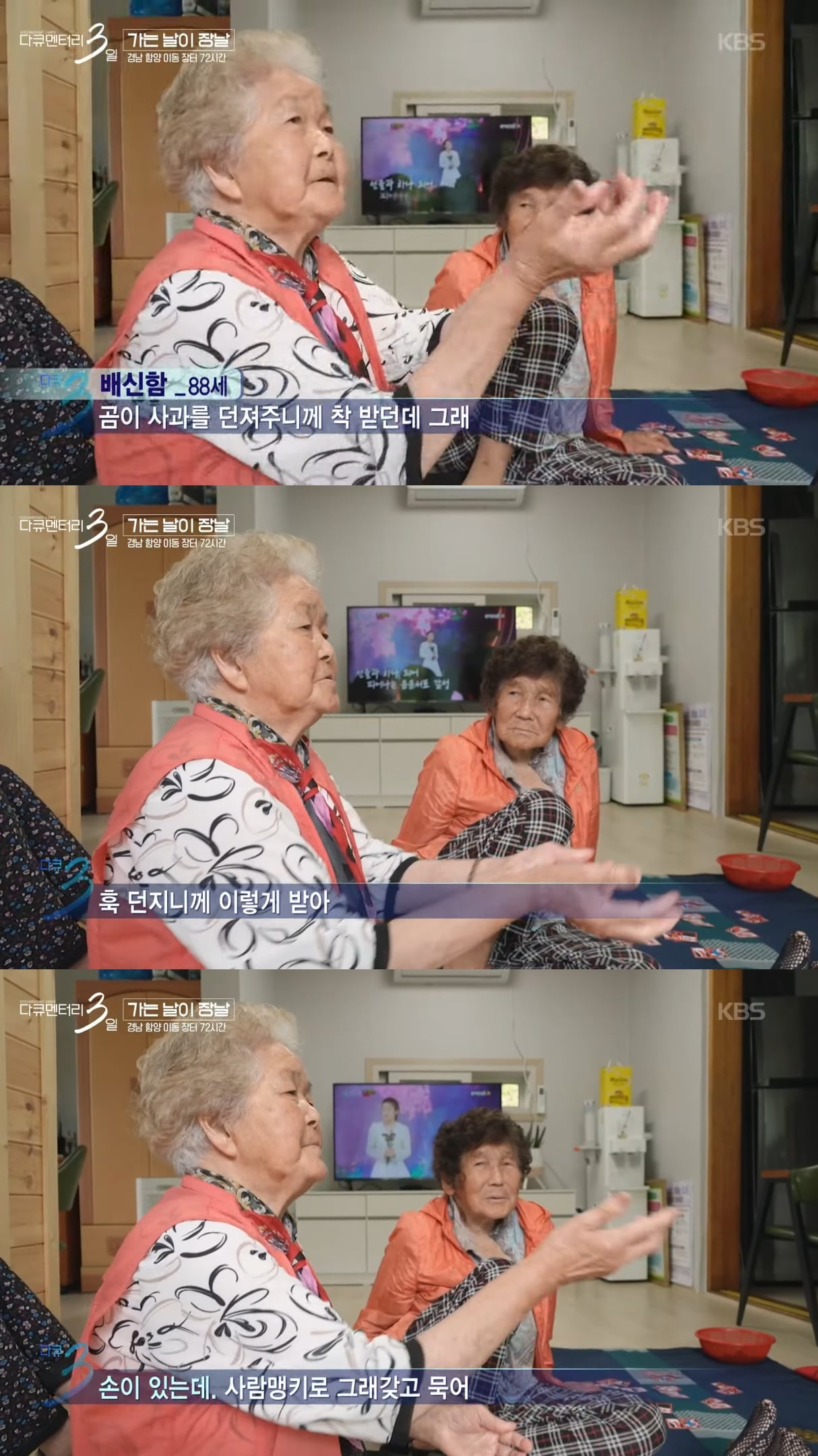 @ : 우리집에 곰이 들어와서 사과 던져줬더니 손으로 촵 받아 먹은 썰 푼다.jpg | 인스티즈