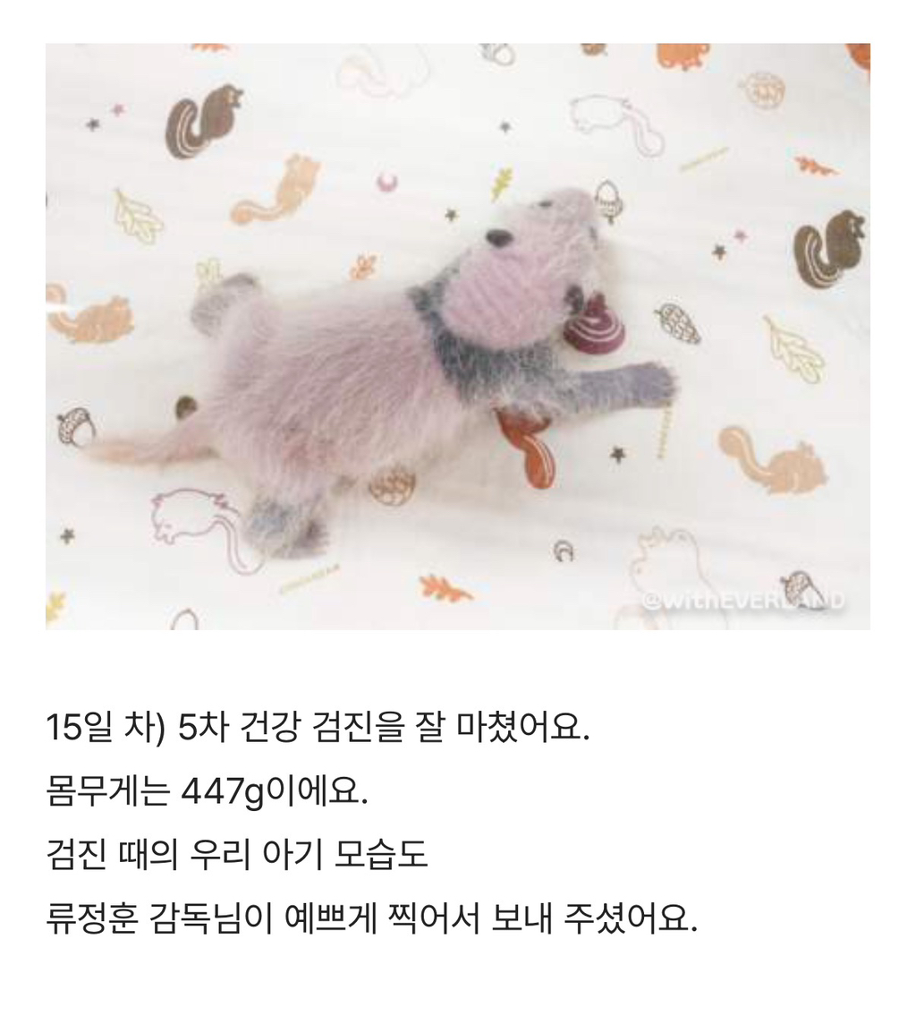 몸무게가 심상치 않은 아이바오 넷째딸 포(4)바오 | 인스티즈