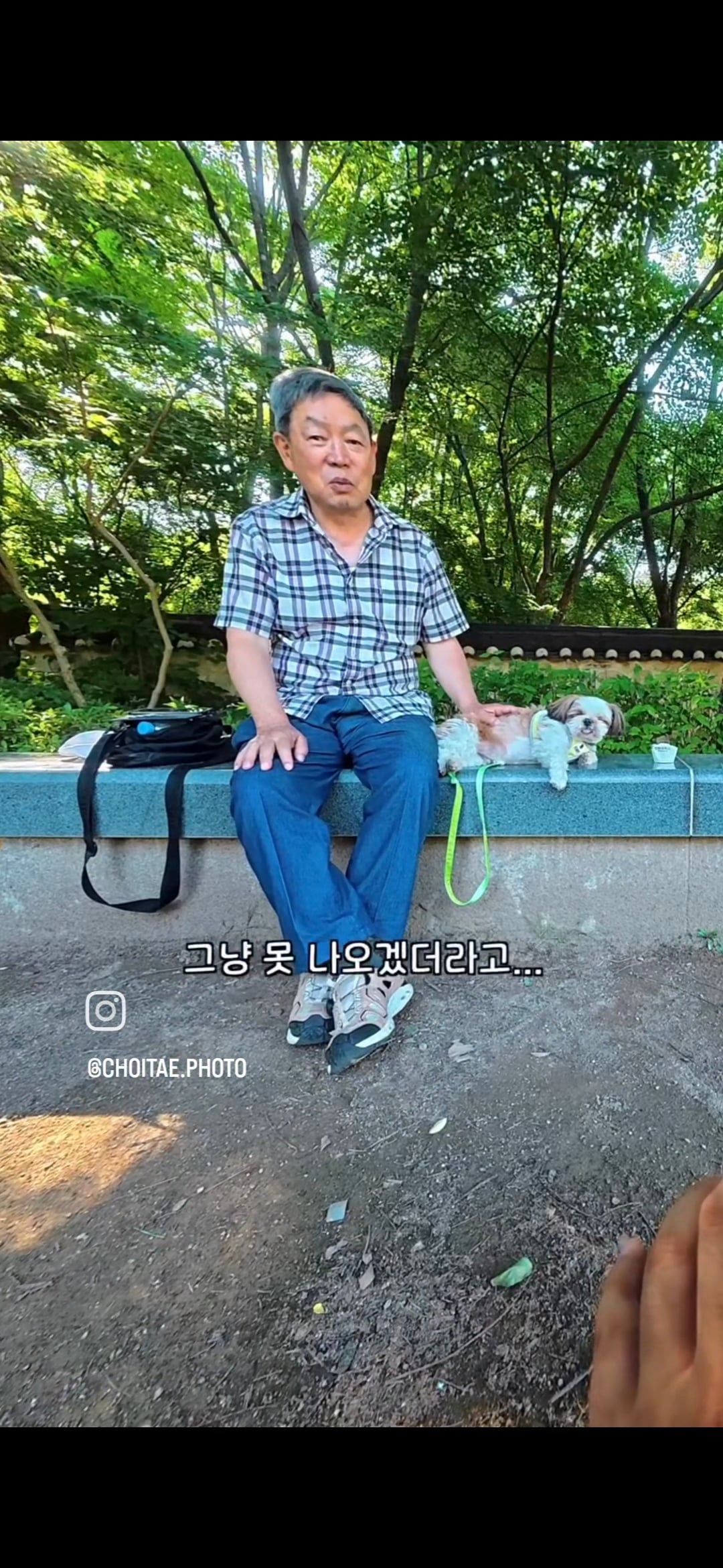 이름이... 이게... 인자...그... 유기견...! | 인스티즈