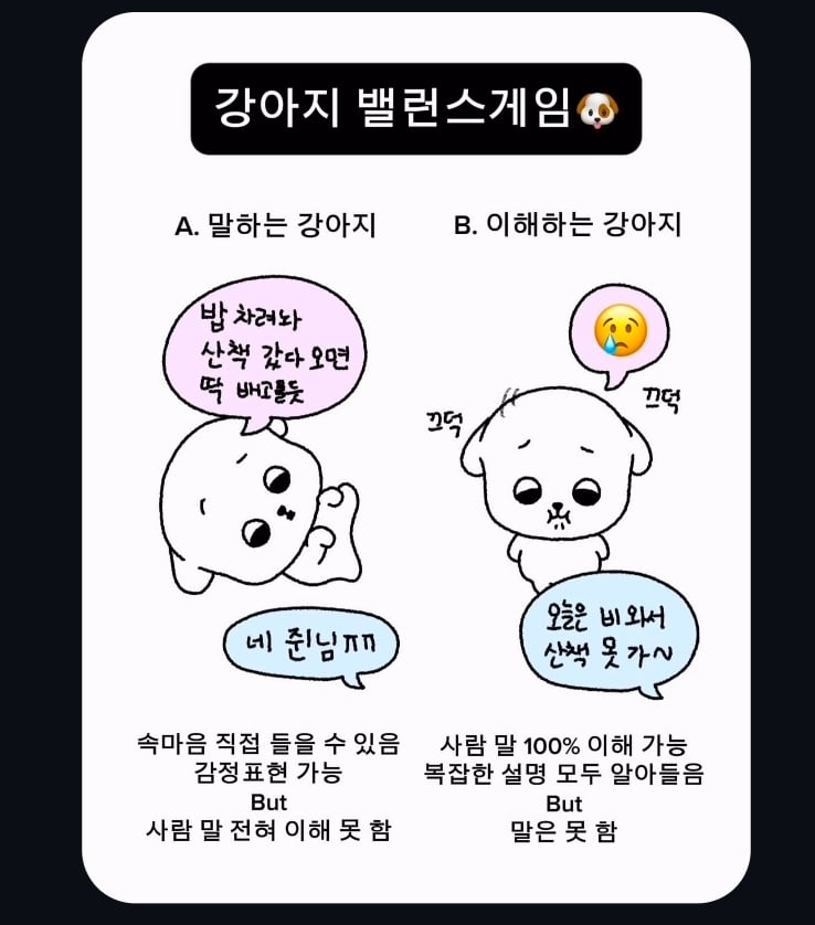 강아지 밸런스게임 | 인스티즈