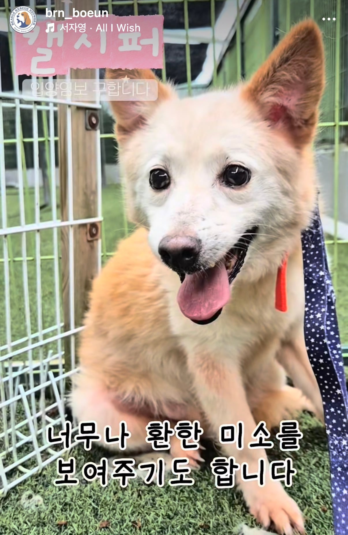 7년의 기다림 +🐶단기임보 | 인스티즈