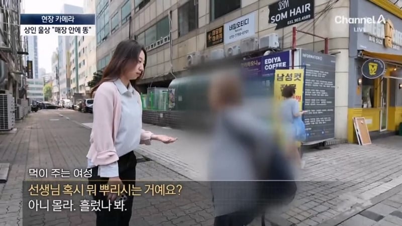 [뉴스] '유해동물 지정' 비둘기에게 밥 주는 비둘기맘 쫓아가봤습니다 ㅋㅋㅋ | 인스티즈