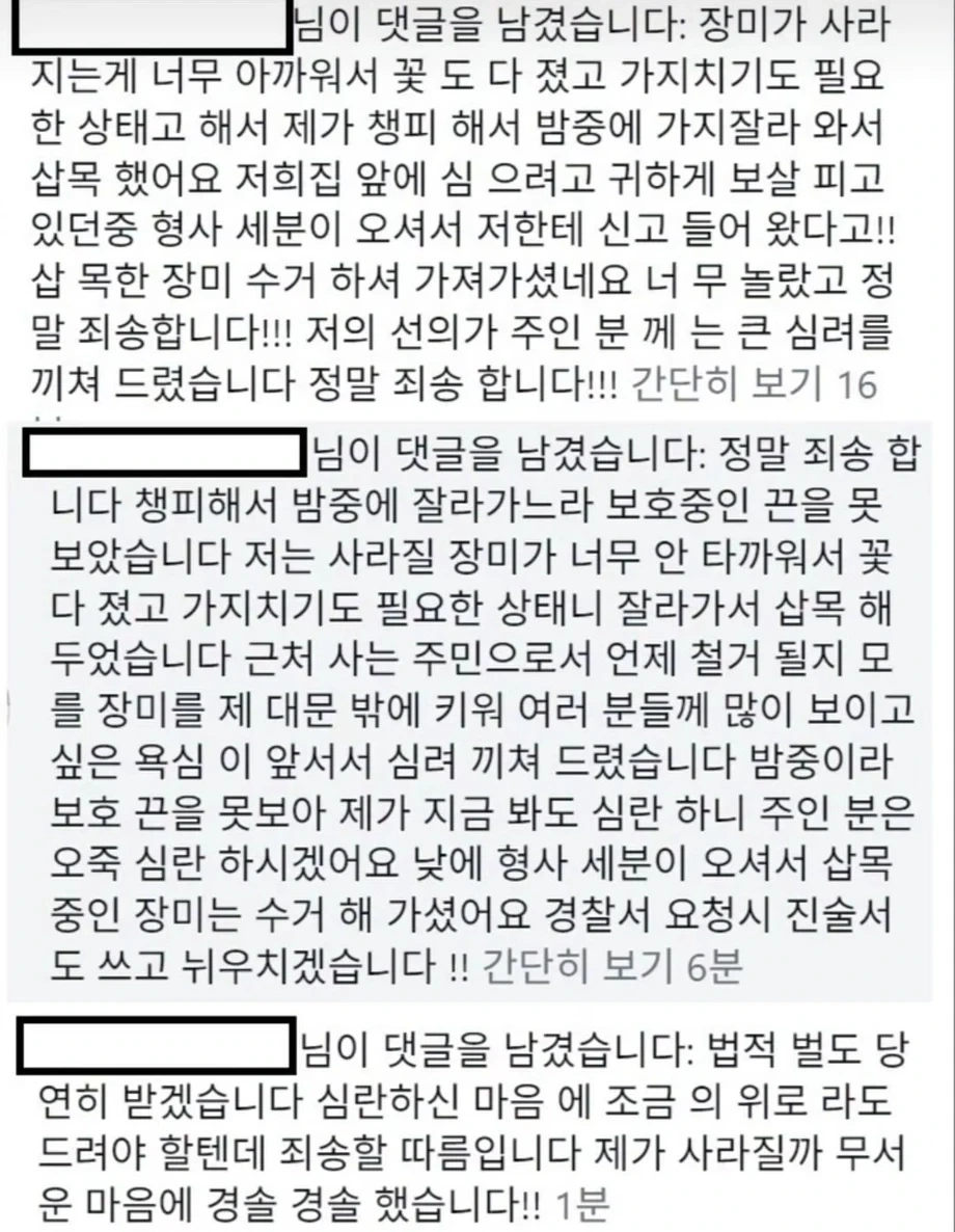 행궁동 사유지 장미 털어간 60대 남녀 | 인스티즈