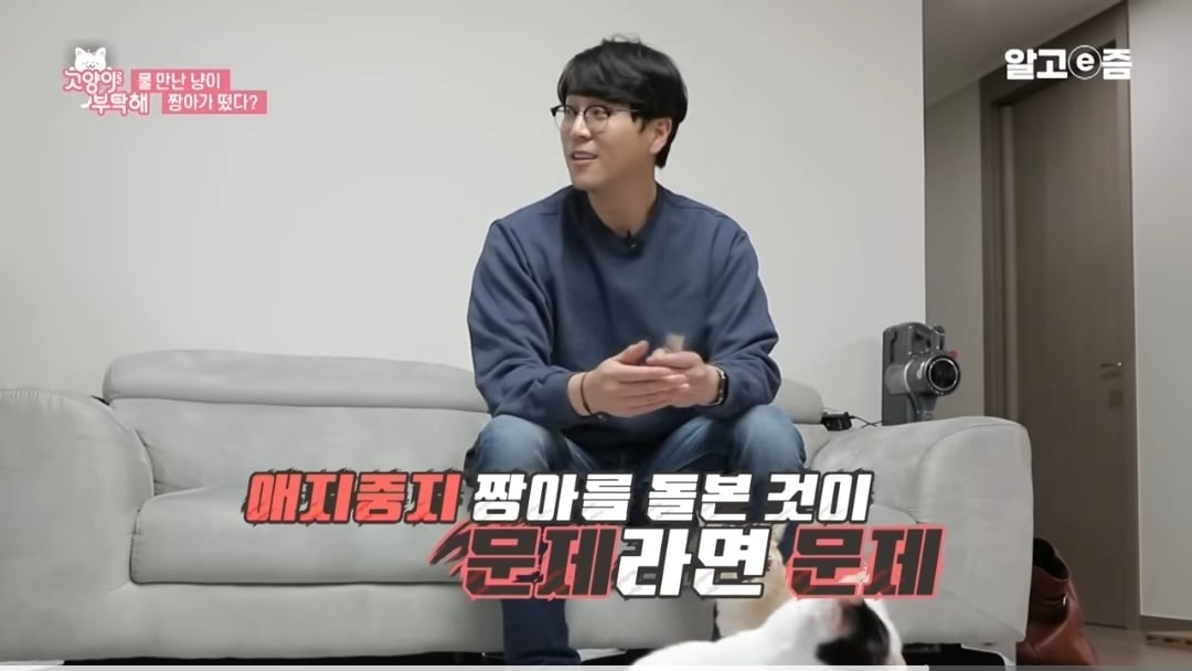물만 보면 뛰어드는 물에 미친 고양이.jpg | 인스티즈