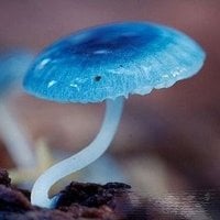 남편의 바람을 알게된 중녀.twt | 인스티즈