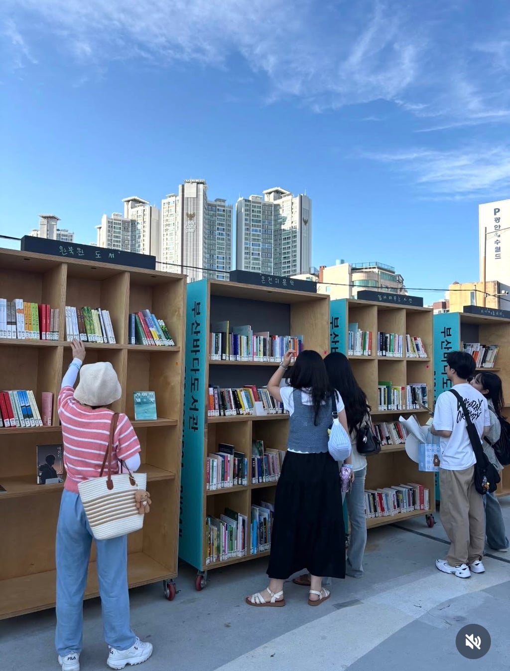 현재 부산에서 진행 중인 바다 도서관, 바다 영화관 | 인스티즈