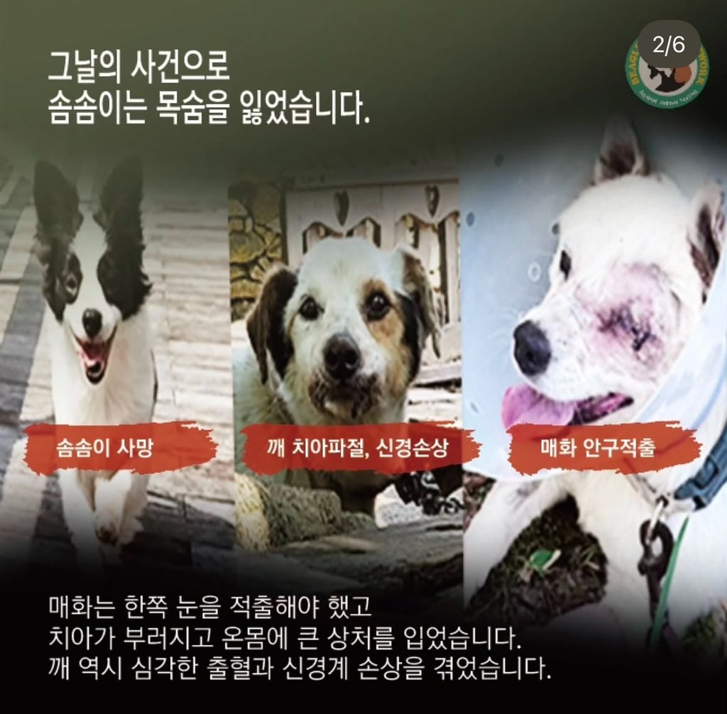 7월3일 해병대 비비탄 난사사건 형사재판 | 인스티즈