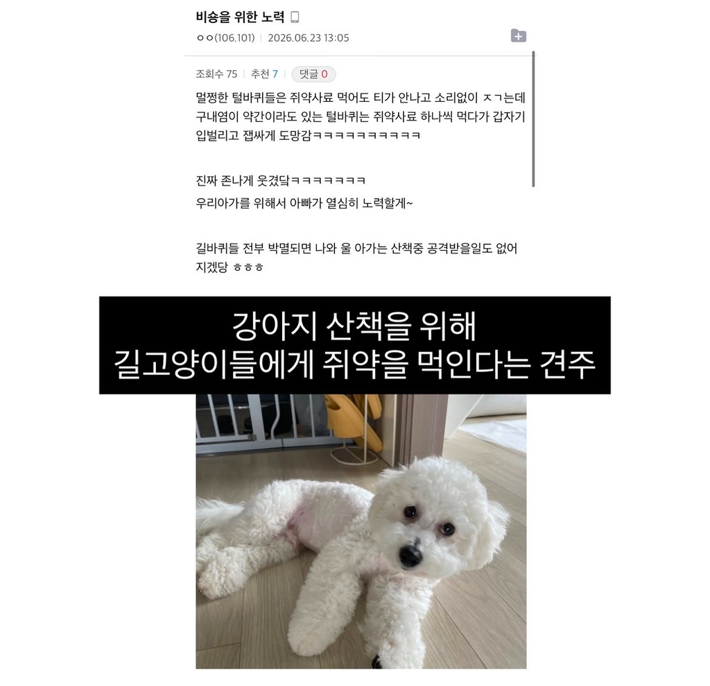 캣맘 퇴치법 | 인스티즈