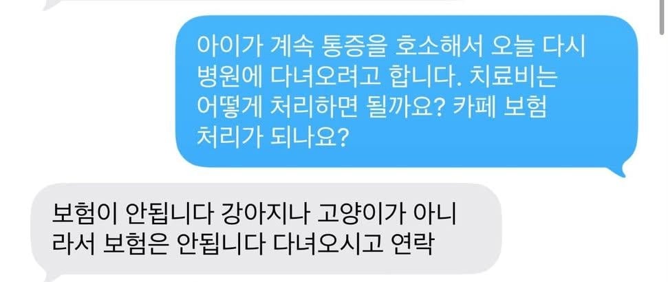 송도 카페 돼지물림사고.gif (상처사진있음) | 인스티즈