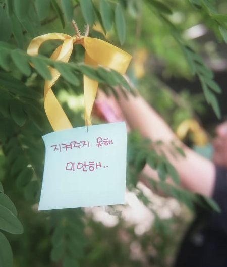 "개 목매달아 산 채로 불태워"…몸부림치다 숨진 '다온이' | 인스티즈