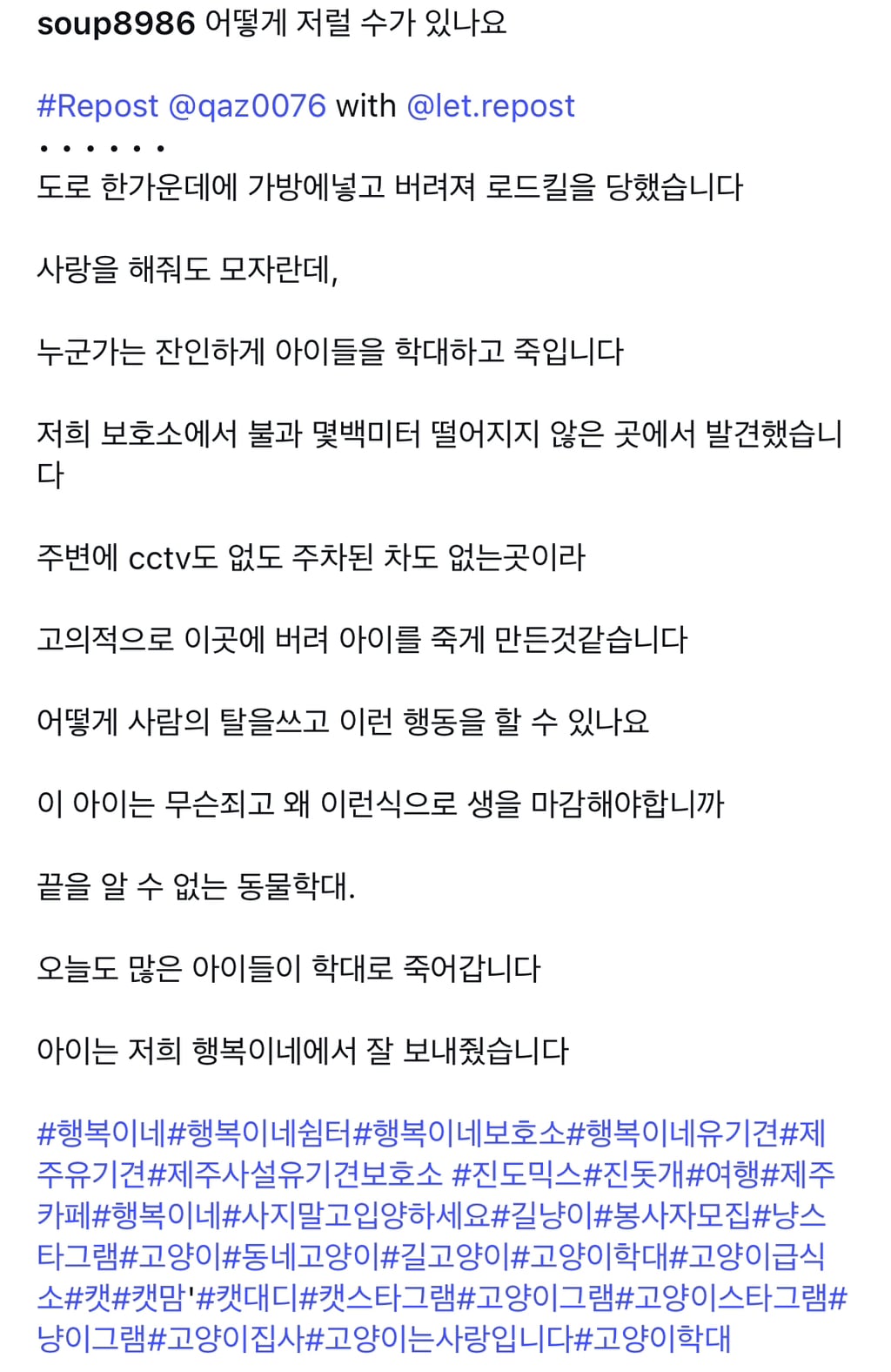 움직일 수도 없게 묶인채 도로에 버려진 고양이, 경산시 제보바람 | 인스티즈