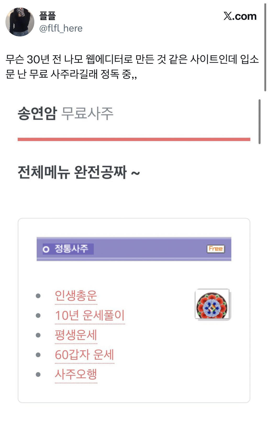 요새 X(구 트위터)에서 핫하다는 무료사주(자미두수) 사이트 4곳 | 인스티즈