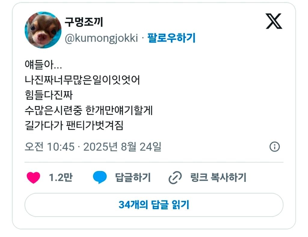 여성들이 길거리에서 속옷때문에 난감한 경우 | 인스티즈