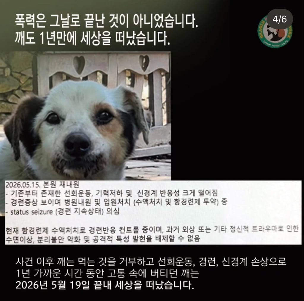 7월3일 해병대 비비탄 난사사건 형사재판 | 인스티즈