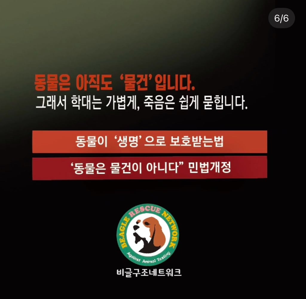 7월3일 해병대 비비탄 난사사건 형사재판 | 인스티즈