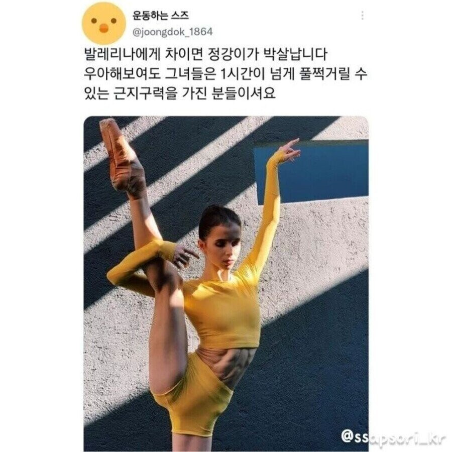 전투력에 대한 소문이 무성한 직종 | 인스티즈