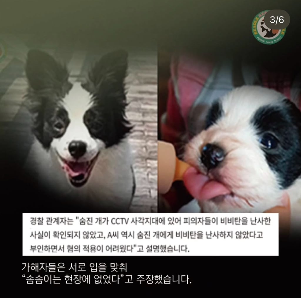 7월3일 해병대 비비탄 난사사건 형사재판 | 인스티즈