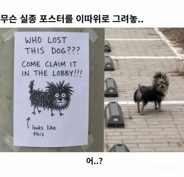 무슨 실종 포스터를 이따위로 그려놓.. | 인스티즈