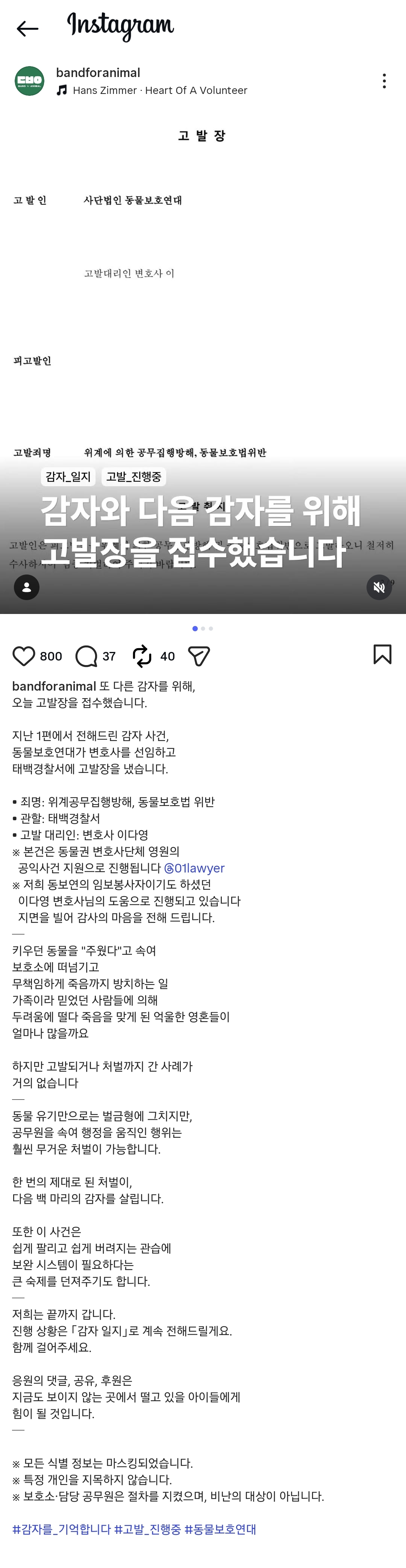 주인이 유기견이라고 거짓 신고해 결국 보호소에서 안락사 당한 강아지 감자.jpg | 인스티즈