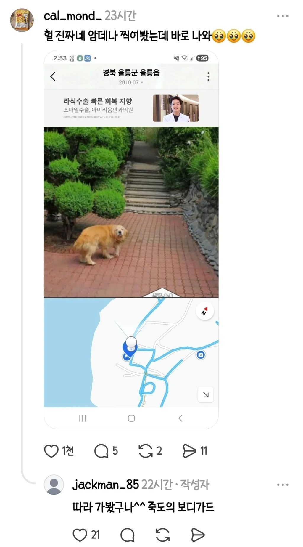 울릉도 죽도 카카오맵 로드뷰 업데이트가 멈춘 사연 | 인스티즈
