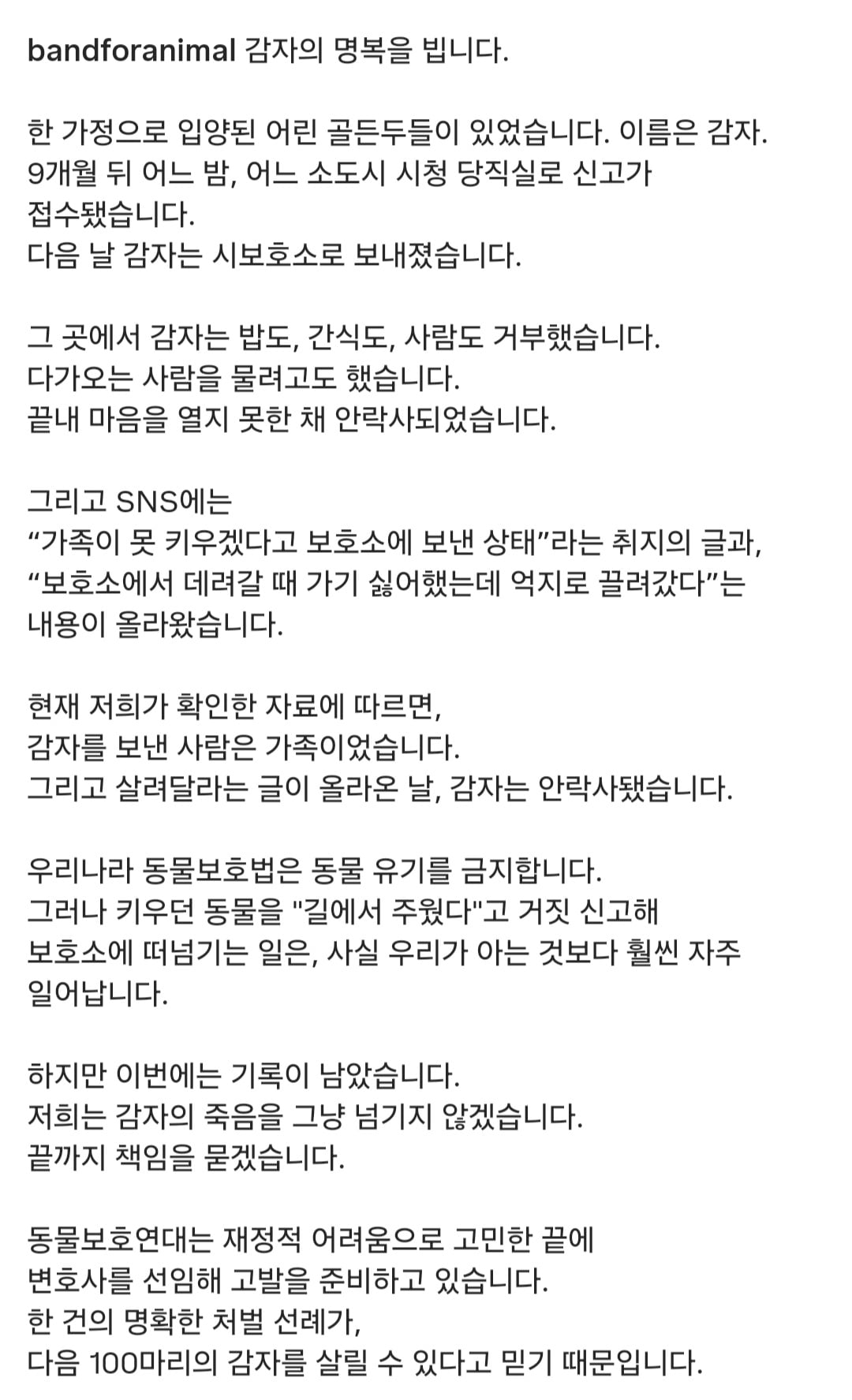 주인이 유기견이라고 거짓 신고해 결국 보호소에서 안락사 당한 강아지 감자.jpg | 인스티즈