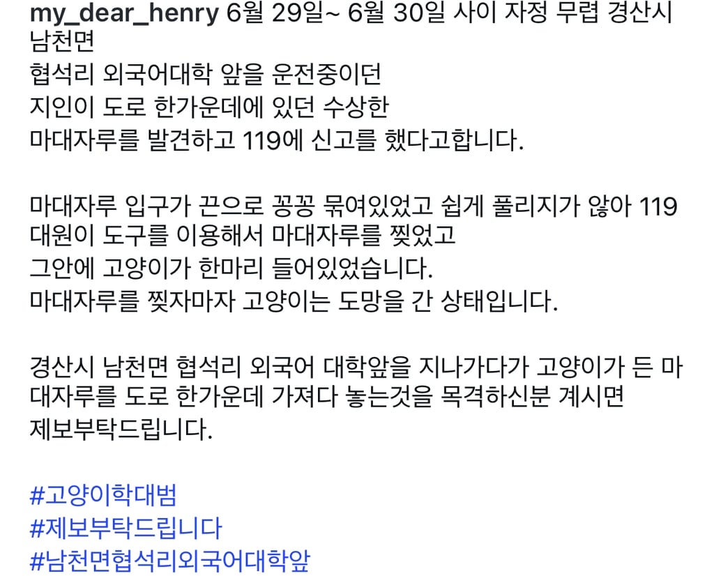 움직일 수도 없게 묶인채 도로에 버려진 고양이, 경산시 제보바람 | 인스티즈