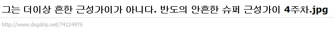 반도의 흔한 근성가이.jpg | 인스티즈