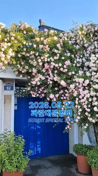 [잡담] 장미 명소에서 장미 훔쳐간 사람 변명 봄? | 인스티즈