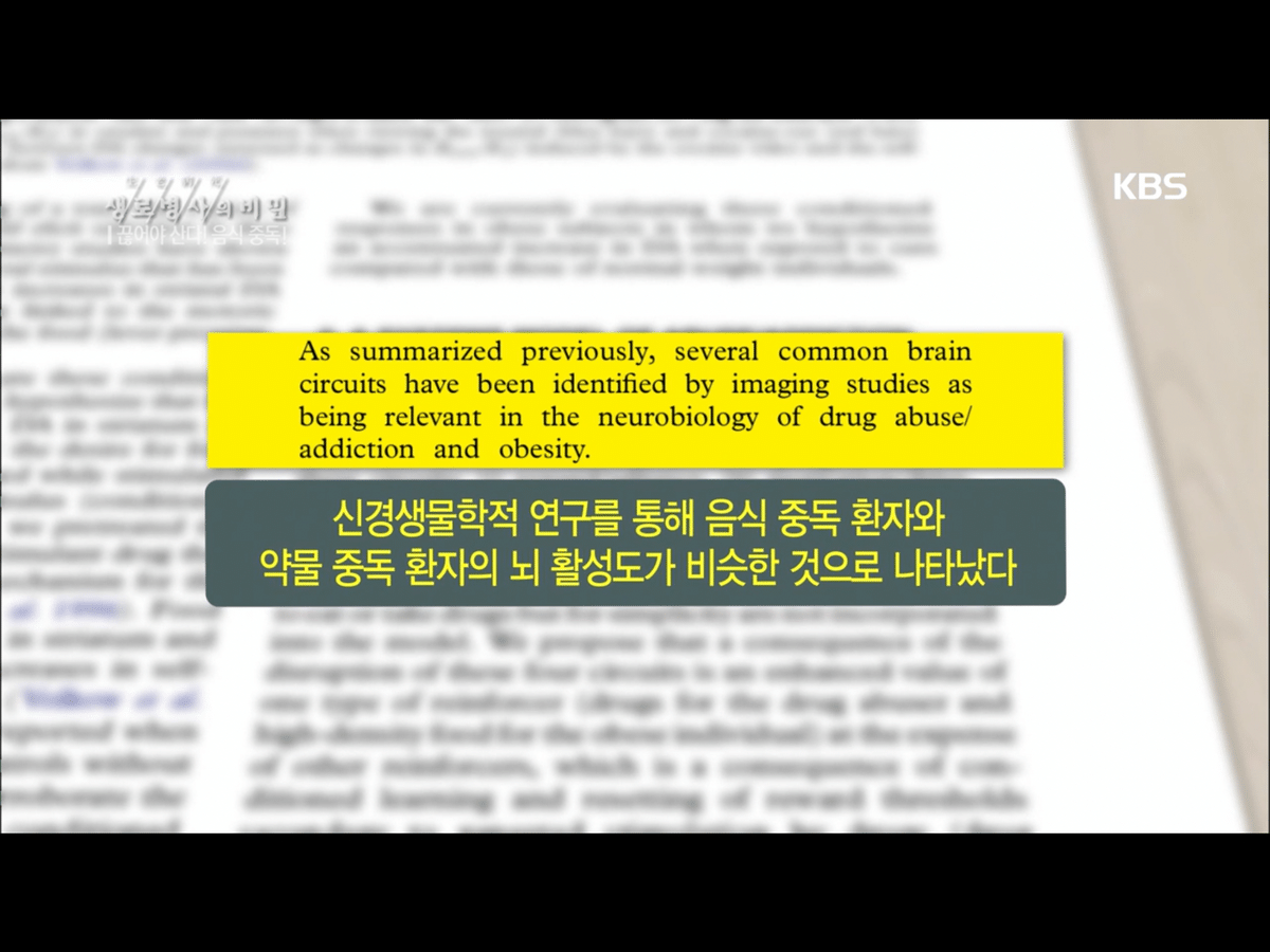 음식도 약물처럼 중독됨.jpg (생로병사의 비밀) | 인스티즈