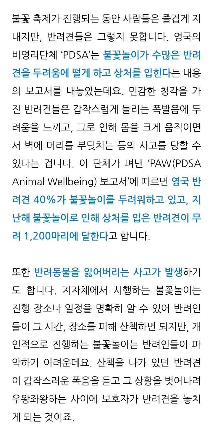 불꽃놀이 정말 시대에 안맞는 낭만인거같다고 생각하는 달글 | 인스티즈