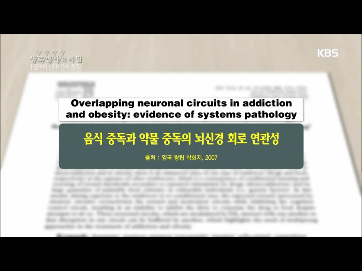 음식도 약물처럼 중독됨.jpg (생로병사의 비밀) | 인스티즈