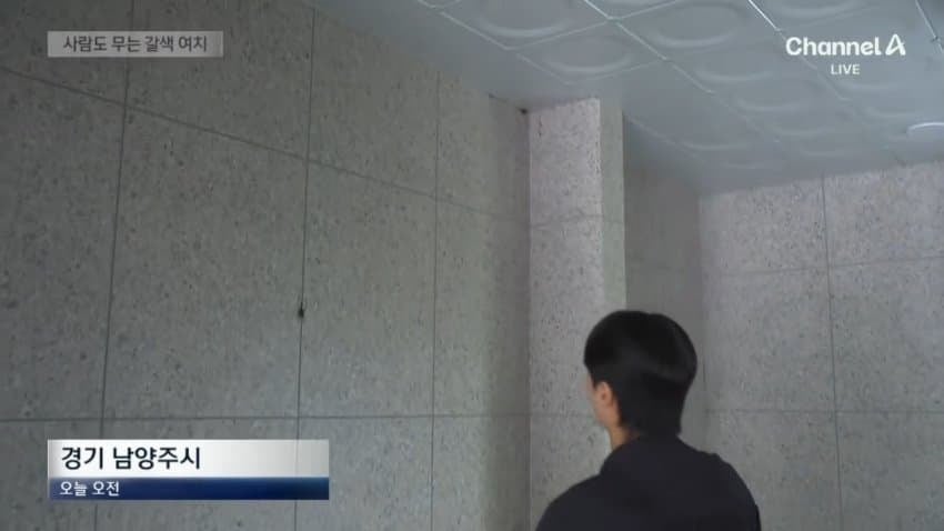 러브버그 다음타자 jpg | 인스티즈