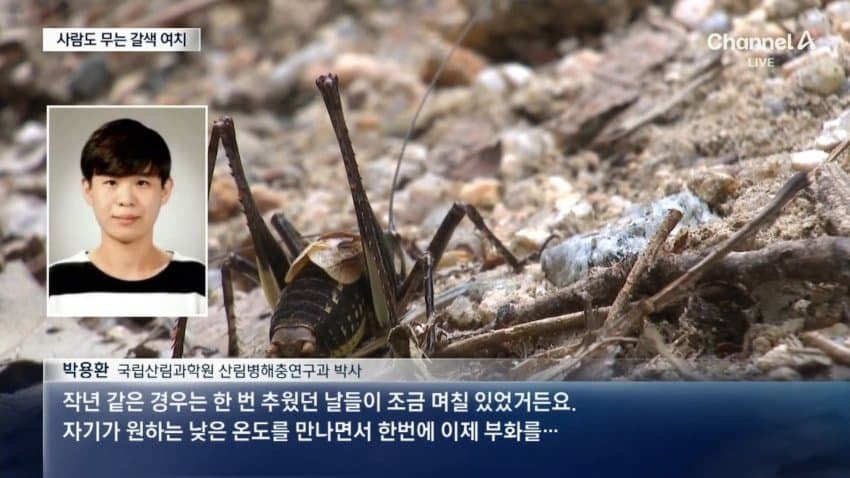 러브버그 다음타자 jpg | 인스티즈
