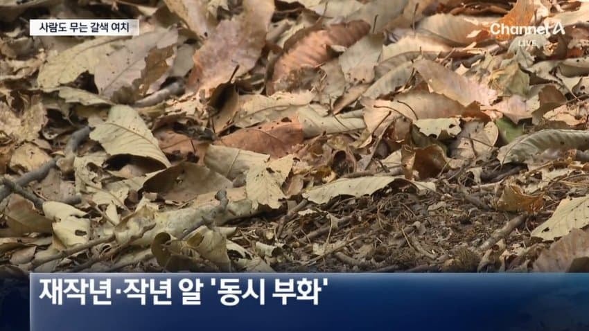 러브버그 다음타자 jpg | 인스티즈