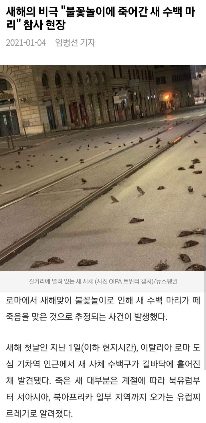 불꽃놀이 정말 시대에 안맞는 낭만인거같다고 생각하는 달글 | 인스티즈