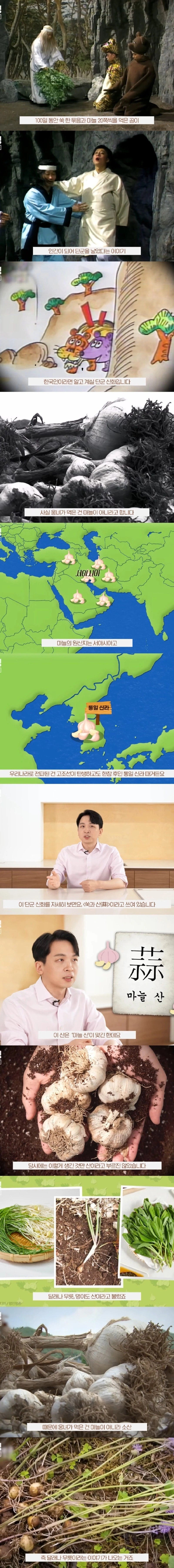 단군신화의 마늘과 쑥에 대한 진실 | 인스티즈