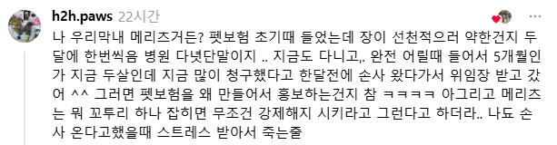 현재 스레드에서 난리난 ㅁㄹㅊ (펫보험) | 인스티즈