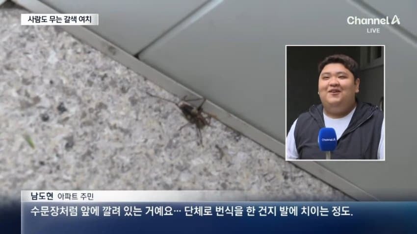 러브버그 다음타자 jpg | 인스티즈