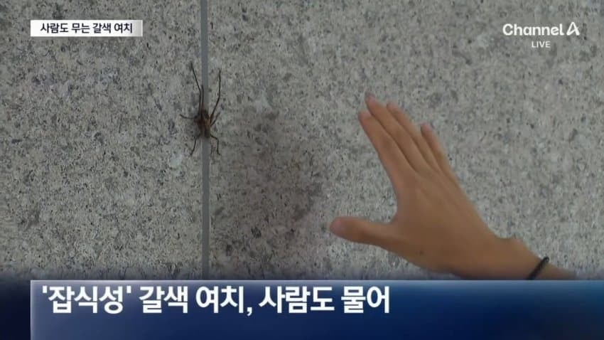 러브버그 다음타자 jpg | 인스티즈